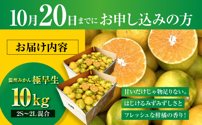 【先行予約】【10月上旬より順次配送】　酸味さわやか愛媛じるし! 温州みかん 10kg （2Sから2L混合サイズ） みかん 愛媛 みかん ジュース 果物 くだもの フルーツ 愛媛県大洲市/玉川農園 [AGBC006]