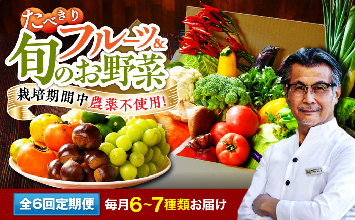 【全6回定期便】　【シェフの目線】 野菜×フルーツセット 6から7種　単身・二人暮らし用セット　愛媛県大洲市/有限会社ヒロファミリーフーズ 野菜 果物 やさい 少量セット 食べきり [AGBX049]