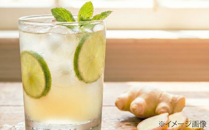 【先行予約】【2026年6月下旬から順次発送】 新生姜 2kg 愛媛県大洲市/株式会社誠実村 [AGER003]