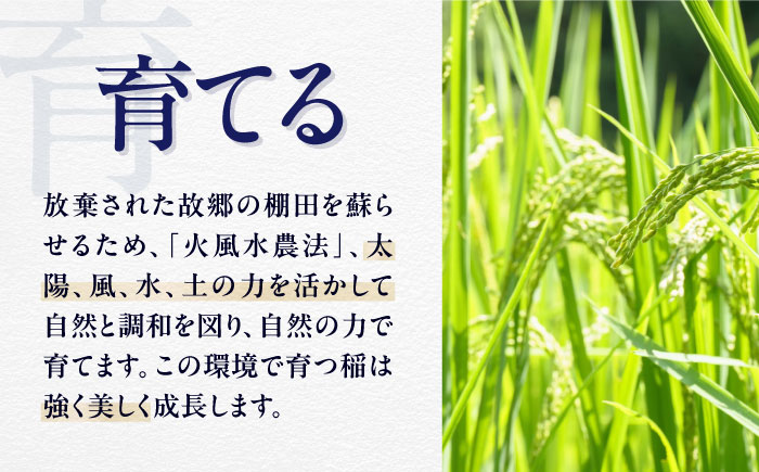 【1月中旬より順次発送】TERROIR LAB 大洲・神南乃酒(かんなんのさけ) 375ml×3本 愛媛県大洲市/酒乃さわだ 大洲 日本酒 清酒 地酒 [AGDU003]
