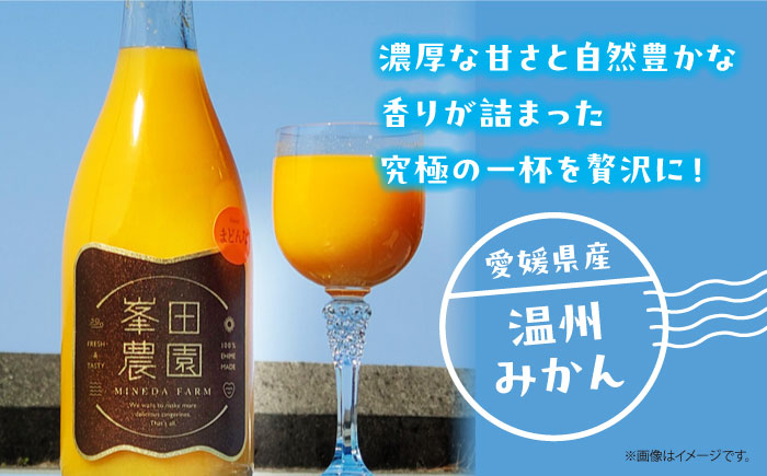 愛媛県産 大人気の手作り「温州みかん」100%ストレートジュース（720ml×2本）　愛媛県大洲市/峯田農園 [AGBT023]