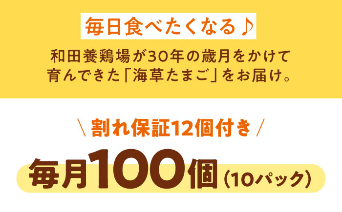 【全6回定期便】平飼い 海草たまご 10パック（100個入り）割れ保証あり 愛媛県大洲市/和田養鶏場 卵 たまご 鶏卵 卵料理 玉子 [AGDQ015]