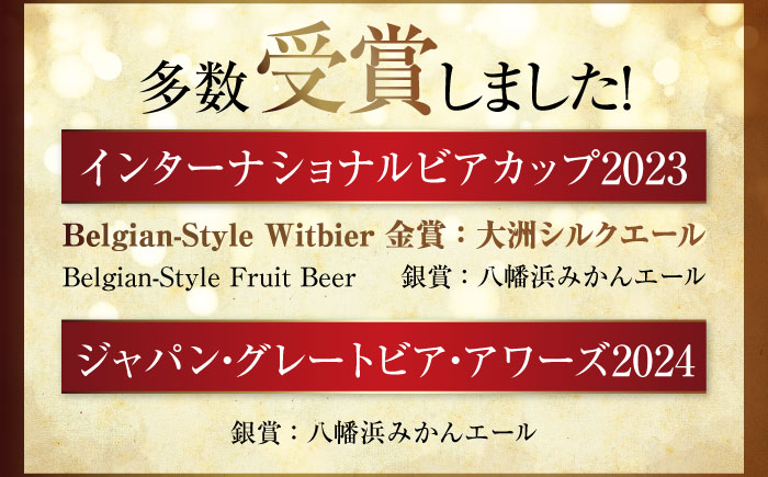 【年末限定】【全3回定期便】産地直送！ご当地ビール！臥龍クラフトビール（愛媛県南予Ver.）2種計6本セット　愛媛県大洲市/株式会社　アライ [AGAY020]