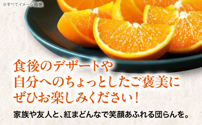 【先行予約】【11月下旬から順次発送】 紅まどんな 秀品 8個から15個入（JA愛媛たいき管内産）　紅まどんな みかん ミカン 紅マドンナ フルーツ 愛媛県大洲市/株式会社フジ・アグリフーズ［AGBA001］