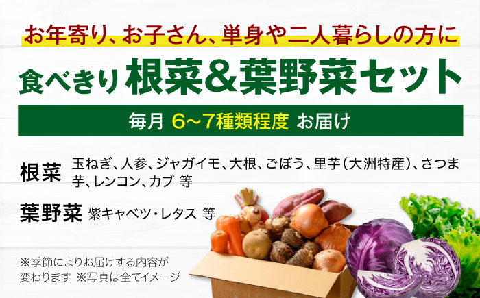【全12回定期便】 【シェフの目線】　根菜×葉野菜 6から7種　単身・二人暮らし用セット　愛媛県大洲市/有限会社ヒロファミリーフーズ 野菜 果物 やさい 少量セット 食べきり [AGBX054]