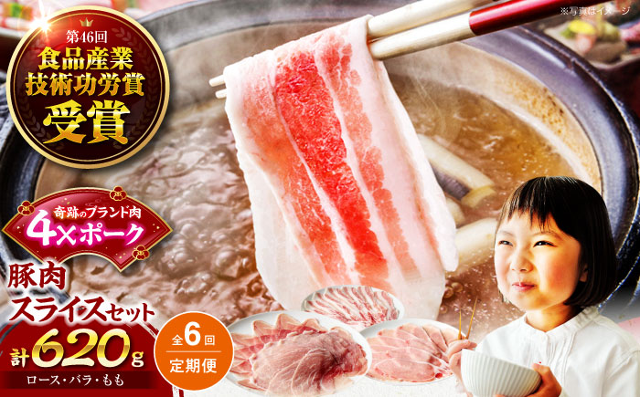 【全6回定期便】【冷凍】【4Xポーク】 豚肉 ポークスライスセット 620g （ロース150g、バラ170g、もも300ｇ） 豚肉 スライス 小分け 肉 ぶたにく 愛媛県大洲市/株式会社SL Creations [AGCY011] お正月 クリスマス