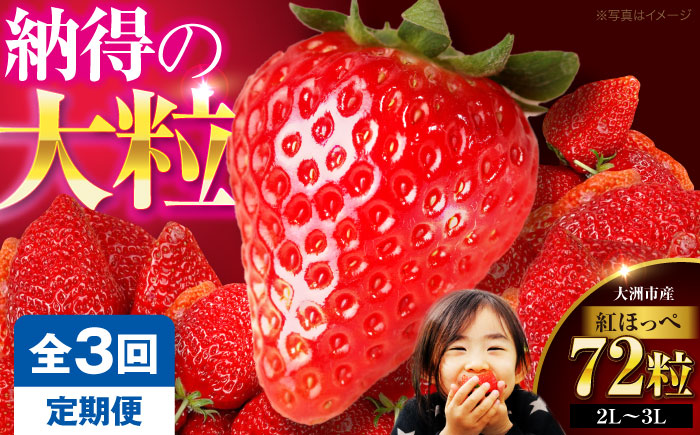 いちご【先行予約】【全3回定期便】いちご(紅ほっぺ)24粒×3箱 | 人気 おすすめ ランキング おいしい 甘い 苺 イチゴ 大粒 高級 送料無料 デザート スイーツ 果物 フルーツ 愛媛県大洲市/有限会社西山青果 [AGAR019]