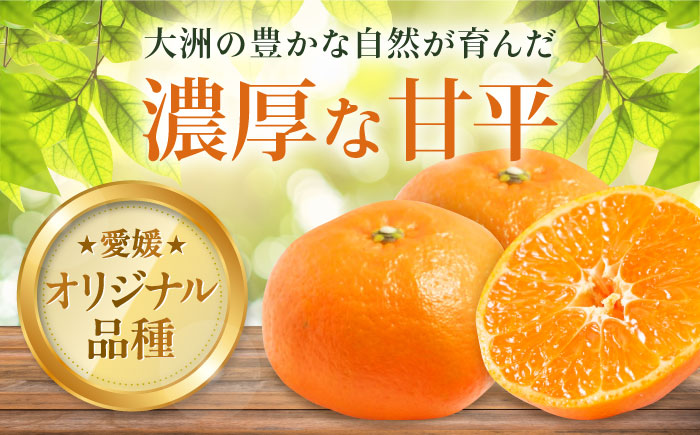 【先行予約】【2026年2月中旬から順次発送】甘平 約2.5kg 10個前後【ご家庭用】  愛媛県大洲市/西村農園 みかん ミカン えひめ かんぺい 柑橘 [AGDC004]