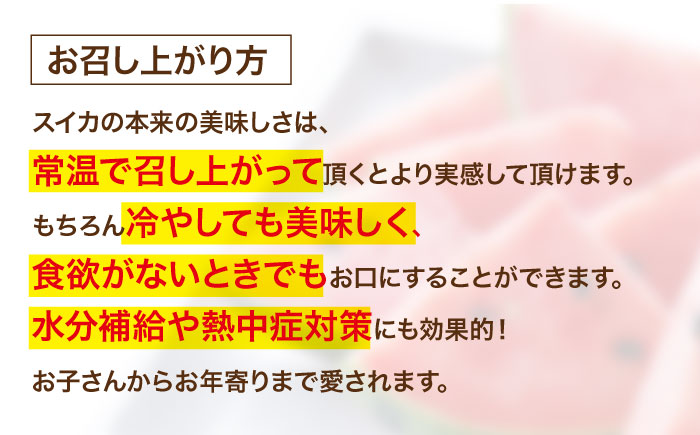 【先行予約】【6月上旬から順次発送】 祭りばやしスイカ 2玉入り（7kg〜10kg/玉） 愛媛県大洲市/にのみや農園 すいか スイカ 西瓜 フルーツ 果物 くだもの [AGDG006]