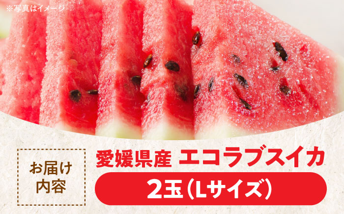 【先行予約】【6月上旬から順次配送】愛情つまったエコラブスイカ（Lサイズ）2玉　愛媛県大洲市/沢井青果有限会社 [AGBN010]スイカ 夏 すいか 西瓜 かき氷 スイカジュース 甘い フルーツ 果物 フルーツポンチ デザート