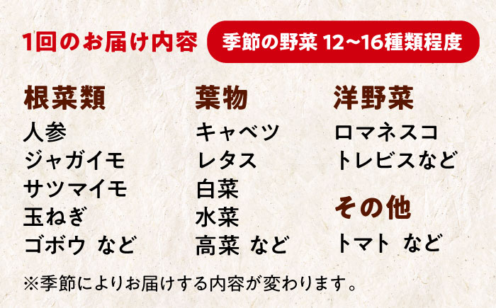 【全6回定期便】【シェフの目線】栽培期間中農薬不使用！大満足 旬のお野菜セット　愛媛県大洲市/有限会社ヒロファミリーフーズ [AGBX004]野菜 サラダ カレー 農業 トマト 料理  きゅうり 鍋 とうもろこし 果物 ミニトマト 農園 新鮮 旬の味 健康 和食 洋食 中華 産地直送 国産 安心安全 JAS認定 有機無農薬 有機栽培 減農薬栽培 有機JAS オーガニック