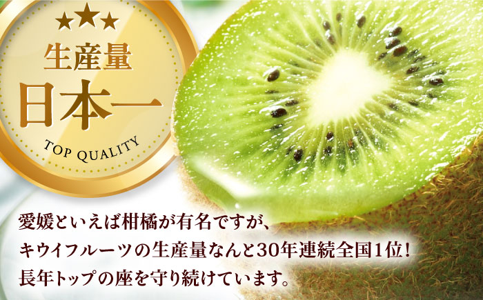 【先行予約】【1月上旬より順次発送】生産量日本一！家族で毎日食べられる！甘熟キウイ　3L〜4Lサイズ（20〜24玉入）　愛媛県大洲市/沢井青果有限会社果物 [AGBN001]キウイ フルーツ かき氷果物 スムージー おやつ ジュース ヨーグルト 手作りスイーツ お菓子作り デザート