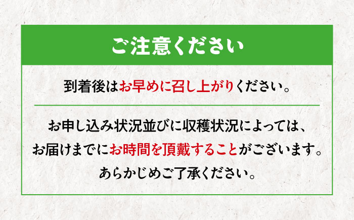 【訳あり】【先行予約】【2025年1月下旬から順次発送】甘平 2kg 愛媛県大洲市/西村農園 みかん ミカン えひめ かんぺい 柑橘 [AGDC004]