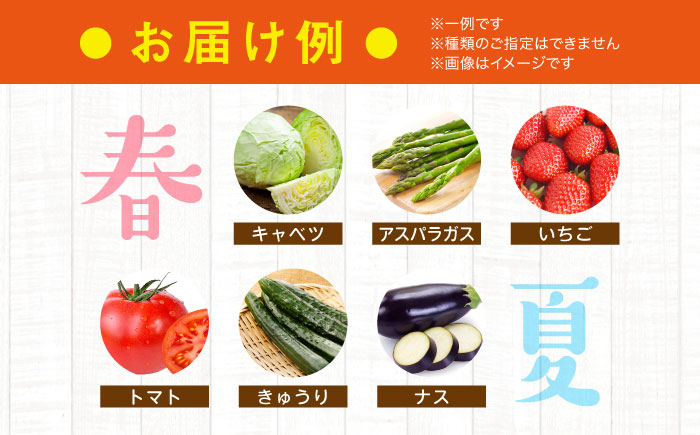 産地直送！鮮度抜群！旬を味わう新鮮野菜と果物の詰め合わせセレクションボックス（6種以上）　愛媛県大洲市/たいき産直市愛たい菜 [AGAP001]野菜 サラダ 農業 トマト 料理 農家 夏野菜 ダイエット ヘルシー 新鮮 きゅうり 野菜料理 キャベツ とうもろこし 和食 大根 ミニトマト