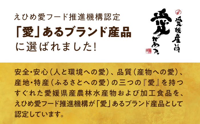 【全12回定期便】愛媛県産のお肉を贅沢に使用！ご当地カレー！ビーフカレー＆チキンカレーセット　愛媛県大洲市/大洲市物産協会 [AGBM073]