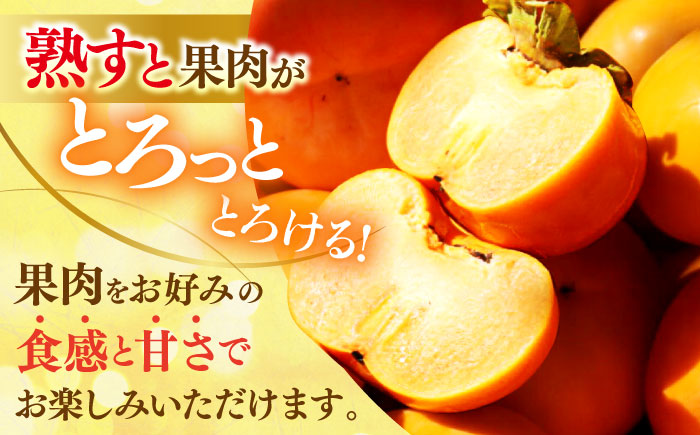 【先行予約】【11月上旬から順次発送】【期間・数量限定】愛媛県産 富有（ふゆう）柿 3Lサイズ 約5kg箱（15玉入り） かき カキ 柿 果物 フルーツ 愛媛県大洲市/愛媛たいき農業協同組合[AGAO012]