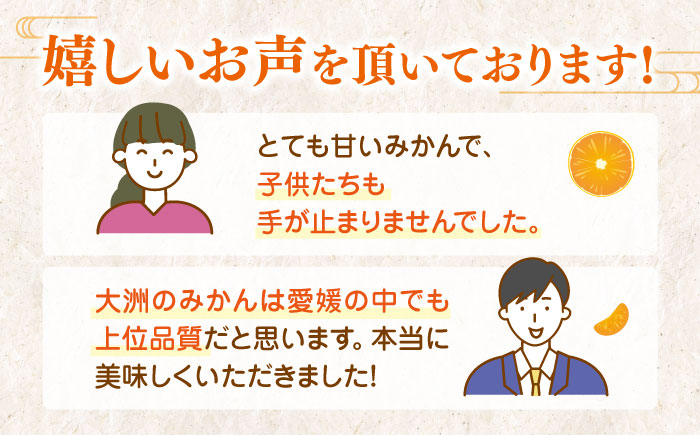 【先行予約】【12月上旬から順次発送】【期間・数量限定】愛媛みかん 南柑20号 赤秀10kg箱（100玉〜160玉） 果物 フルーツ みかん ミカン 愛媛みかん 愛媛県大洲市/愛媛たいき農業協同組合[AGAO007]