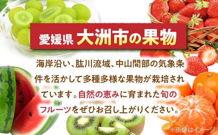 【先行予約】【8月中旬から順次発送】大洲市産　ニューベリーA　4-5房入　2.0kg 愛媛県大洲市/株式会社フジ・アグリフーズ [AGBA024]