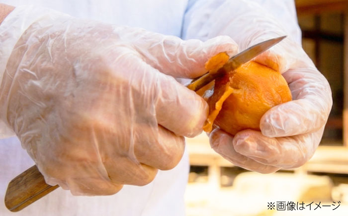 【冷凍】 干し柿 10個入り 愛媛県大洲市/沢井青果有限会社　あたご柿 柿 かき ドライフルーツ [AGBN055]