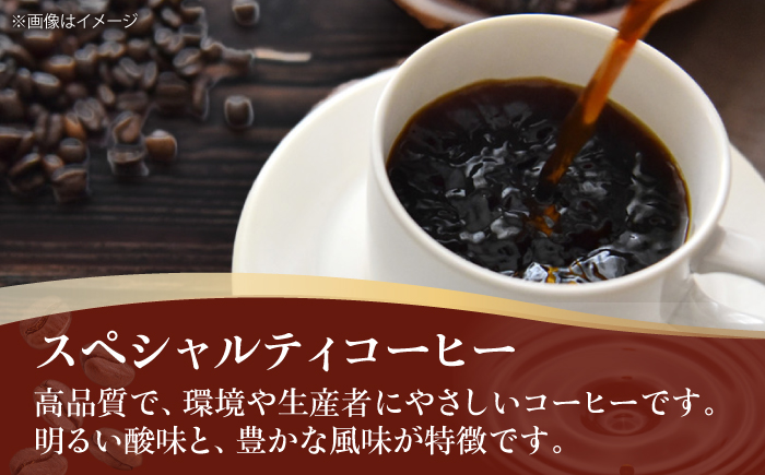 コーヒー豆 スペシャルティコーヒー おすすめ1種 250g 珈琲 コーヒー豆 コーヒー粉 コーヒー ドリップ ドリップ珈琲 飲料 愛媛県大洲市/株式会社日珈 [AGCU025]