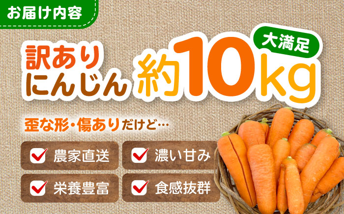 【先行予約】【2026年5月上旬から順次発送】訳アリ にんじん 10kg 愛媛県大洲市/株式会社誠実村 [AGER001]