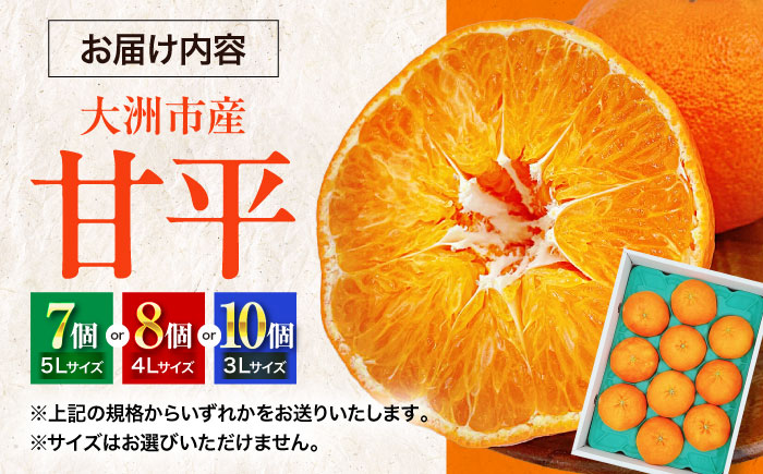 愛媛オリジナル柑橘！大玉「秀品 甘平」 3L~5L 約2.5kg 7から10個　愛媛県大洲市/株式会社フジ・アグリフーズ [AGBA006]みかん オレンジ フルーツ ミカン 果物 かき氷 みかんジュース 愛媛みかん こたつ みきゃん スムージー デザート おやつ ヨーグルト