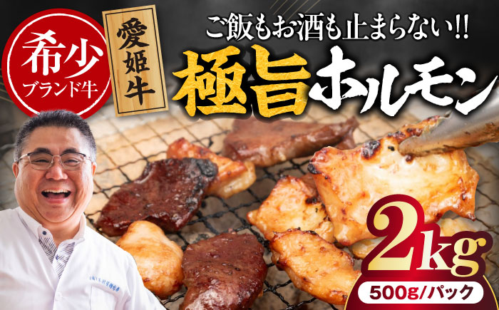 【冷凍】 愛姫牛 肉屋のこだわりお惣菜 タレ漬けミックスホルモン 500g×4パック 2kg 愛媛県大洲市/有限会社 木村屋精肉店 [AGCC069]牛肉 和牛 牛 国産 国産和牛 愛媛県産 大洲市産 人気 おすすめ ランキング 簡単 おいしい お肉 肉 国産肉 焼肉 送料無料 お取り寄せ グルメ ホルモン 冷凍 焼き肉 BBQ バーベキュー ホルモン焼きそば ホルモン炒め