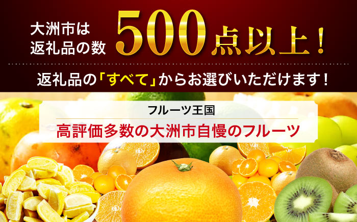 【あとから選べる】大洲市ふるさとギフト 30万円分 [AGXX023]