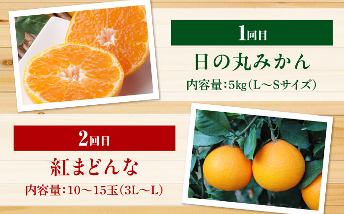 【全6回定期便】 【2026年11月以降毎月発送】えひめかんきつ定期便 愛媛県大洲市/愛媛県観光物産協会 みかん 日の丸ゴールド 紅まどんな 伊予柑 デコポン せとか 河内晩柑 [AGDN001]