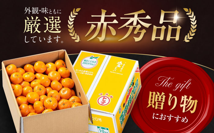 【先行予約】【12月上旬から順次発送】【期間・数量限定】愛媛みかん 南柑20号 赤秀10kg箱（100玉〜160玉） 果物 フルーツ みかん ミカン 愛媛みかん 愛媛県大洲市/愛媛たいき農業協同組合[AGAO007]