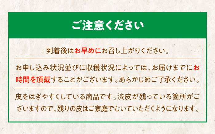 【9月下旬より順次発送】ほくほく甘いお徳用ムキ栗 1.2kg（真空パック）　愛媛県大洲市/沢井青果有限会社 [AGBN034]お菓子 おやつ お土産 手作り 焼き菓子 和菓子 駄菓子 可愛い 手作りおやつ スナック お茶菓子 お茶請け 和風スイーツ デザート ティータイム 和食 