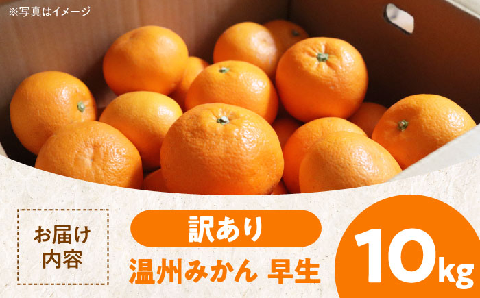 【先行予約】【11月中旬から順次発送】【ちょっと訳あり】 温州みかん 愛媛県産 早生 みかん 10kg 温州みかん 柑橘 みかん 愛媛県大洲市/有限会社カーム/カームシトラス [AGBW007]