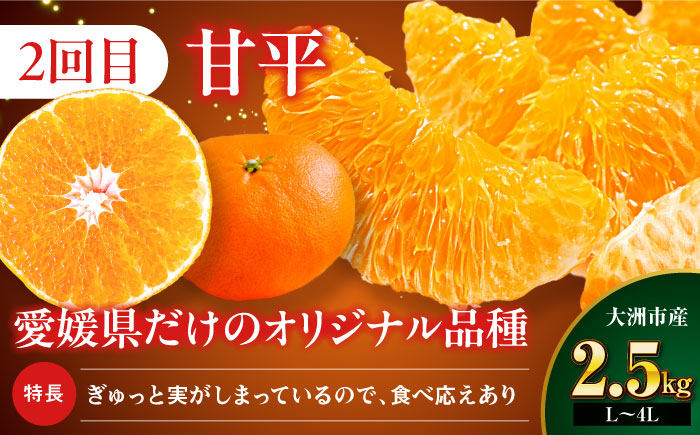 いちご・甘平 春を呼ぶ♪定期便【先行予約】【全2回定期便】 いちご(紅ほっぺ)24粒・甘平2.5kg(Lから4Lサイズ混合) | 先行予約 フルーツ定期便 果物定期便 みかん ミカン かんぺい 甘平 いちご 苺 果物 くだもの フルーツ 愛媛県産 大洲市産 産地直送 おすすめ 人気 お取り寄せ 送料無料 愛媛県大洲市/有限会社西山青果 [AGAR020]