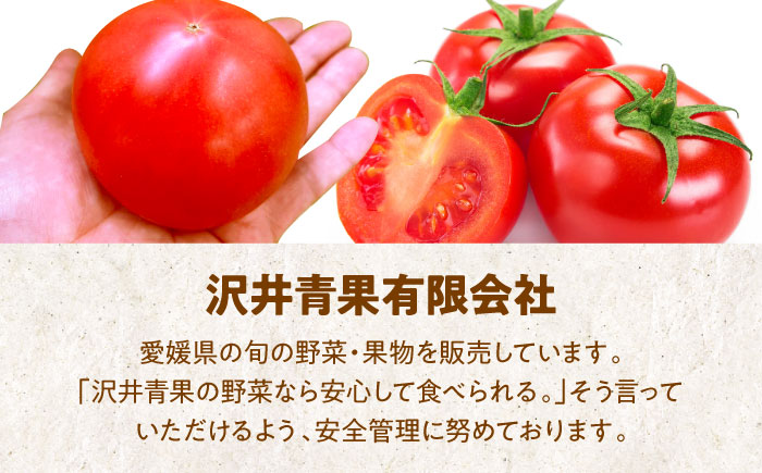 自然な美味しさ、たっぷり味わう。エコラブトマトMから2Lサイズ（20から24玉）約3.5kg　愛媛県大洲市/沢井青果有限会社 [AGBN012]パスタ 野菜 サラダ チーズ リコピン ランチ 夏野菜  とまと カレー トマトソース トマトジュース サンドイッチ トマトラーメン 料理