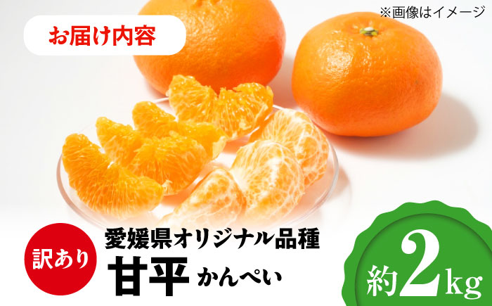 【訳あり】【先行予約】【2025年1月下旬から順次発送】甘平 2kg 愛媛県大洲市/西村農園 みかん ミカン えひめ かんぺい 柑橘 [AGDC004]