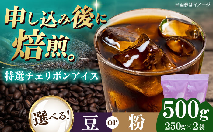 コーヒー豆 特選チェリボンアイス 500g （250g×2袋） 珈琲 コーヒー豆 コーヒー粉 コーヒー ドリップ ドリップ珈琲 飲料 愛媛県大洲市/株式会社日珈 [AGCU015] お正月 クリスマス