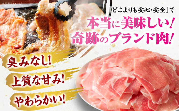 【全6回定期便】【冷凍】【4Xポーク】 豚肉 ポークスライスセット 620g （ロース150g、バラ170g、もも300ｇ）　豚肉 切り落とし 小分け 肉 ぶたにく 愛媛県大洲市/株式会社SL Creations [AGCY011]