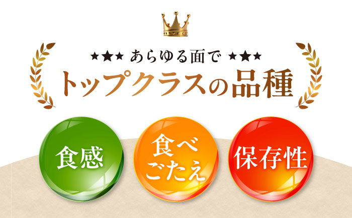 ãå
è¡äºçŽãã2026幎1æäžæ¬ããé æ¬¡çºéãããŸãããæéžãæè©°ããæž©å·ã¿ãã åæ20å· çŽ4kg æåªç倧掲åž/ã«ãŒã ã·ãã©ã¹ ã¿ãã ãã«ã³ èæ æç© ãã ãã® ãã«ãŒã