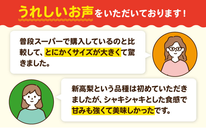 【先行予約】【10月上旬から順次発送】「梨の王様」特大新高　梨5kg（6個から8個入り）　愛媛県大洲市/幸野観光なし園 [AGBD002] 梨 果物 秋の味覚 フルーツ なし  おやつ かおり 朝ごはん 大好物 サラダ 晩ごはん ヨーグルト デザート 手作りスイーツ 手作りお菓子 料理 隠し味