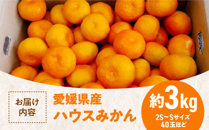 【先行予約】【夏限定】愛媛県産 峯田農園のあま〜い「ハウスみかん」3kg　愛媛県大洲市/峯田農園 [AGBT002]みかん オレンジ フルーツ ミカン 果物 かき氷 みかんジュース 愛媛みかん こたつ みきゃん スムージー デザート おやつ ヨーグルト 調味料 ドレッシング 隠し味 料理