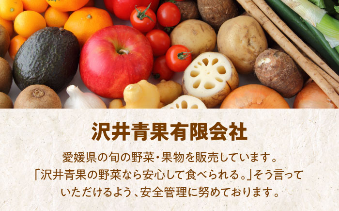 愛情つまったエコラブスイカ（2L〜3Lサイズ）1玉　愛媛県大洲市/沢井青果有限会社野菜 [AGBN009]スイカ 夏 すいか 西瓜 かき氷 スイカジュース 甘い フルーツ 果物 フルーツポンチ デザート