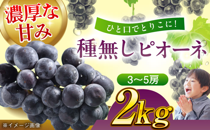 【先行予約】【9月初旬より順次発送】種無しピオーネ2kg（3〜5房）　愛媛県大洲市/沢井青果有限会社 [AGBN014]ぶどう 葡萄 フルーツ 巨峰 タルト 手作りケーキ  ブドウ フルーツサンド 果物 朝ごはん 食欲の秋 かき氷 スイーツ 甘い デザート 料理 ヨーグルト スムージー