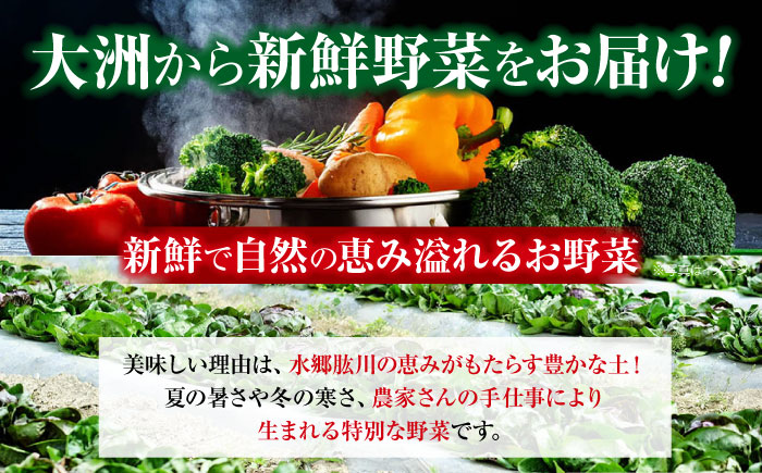 【全12回定期便】 【シェフの目線】　野菜 6から7種　単身・二人暮らし用セット　愛媛県大洲市/有限会社ヒロファミリーフーズ 野菜 やさい 少量セット 食べきり [AGBX046]