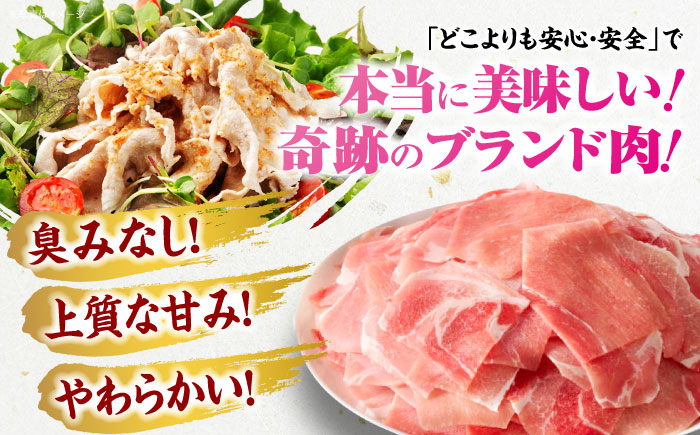 【全3回定期便】【冷凍】【4Xポーク】 豚肉 切り落としセット 1650g （ 肩 もも 550g×3パック）　豚肉 切り落とし 小分け 肉 ぶたにく 愛媛県大洲市/株式会社SL Creations [AGCY004] お正月 クリスマス