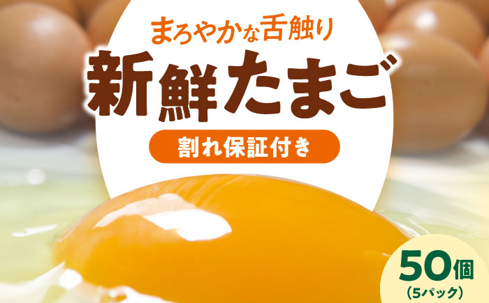 平飼い 海草たまご 5パック（50個入り）割れ保証あり 愛媛県大洲市/和田養鶏場 卵 たまご 鶏卵 卵料理 玉子 [AGDQ002]