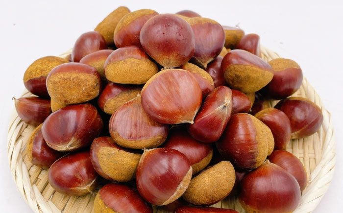 【先行予約】【9月下旬から順次発送】栗1kg（L〜4Lサイズ） 愛媛県大洲市/株式会社フジ・アグリフーズ [AGBA020]栗 テリーヌ 甘露煮 栗ごはん 栗の渋皮煮 秋の味覚 くり 和菓子 栗ご飯 栗きんとん スイーツ クリ モンブラン マロン