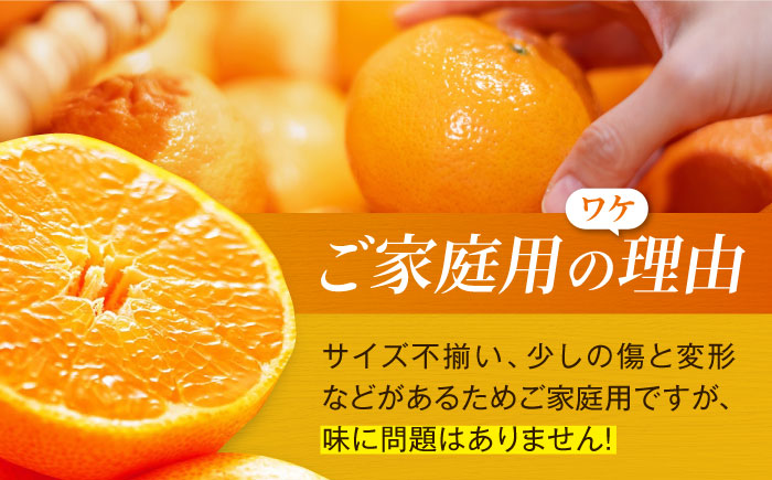 【先行予約】【2026年2月中旬から順次発送】甘平 約2.5kg 10個前後【ご家庭用】  愛媛県大洲市/西村農園 みかん ミカン えひめ かんぺい 柑橘 [AGDC004]