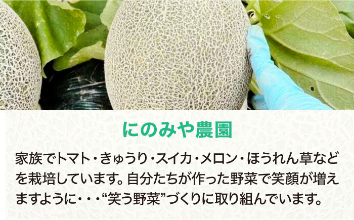 【先行予約】【6月中旬から順次発送】 タカミ メロン Lサイズ 2玉入り（2.2kg〜2.5kg/玉） 愛媛県大洲市/にのみや農園 めろん 貴味 果物 フルーツ くだもの 青肉 高級　 [AGDG003]