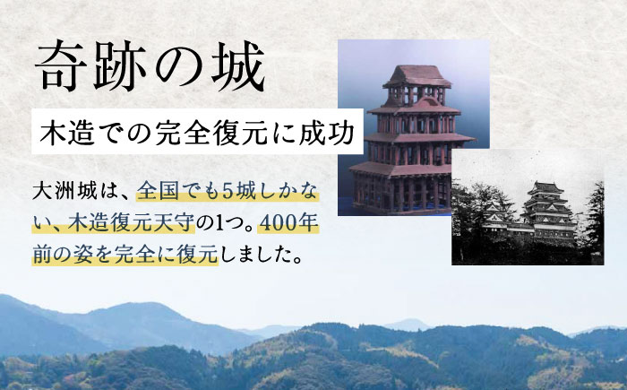 【1日1組限定】大洲城 木造天守閣 宿泊券 祝砲・殿様御膳・入城体験付き！ 愛媛県大洲市/バリューマネジメント株式会社　観光 旅行 宿泊券 旅館 記念日[AGDP005] 