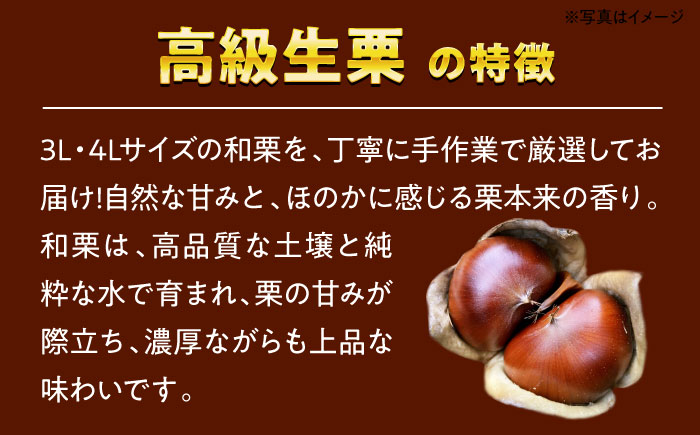 【先行予約】【2026年9月下旬から順次発送】あじさい農園の高級生栗（1kg）　愛媛県大洲市/あじさい農園 [AGAE007]くり クリ モンブラン マロン 秋の味覚 和菓子 栗ご飯 栗ごはん 栗きんとん ケーキ スイーツ クリ 手作りスイーツ素材 おやつ 材料
